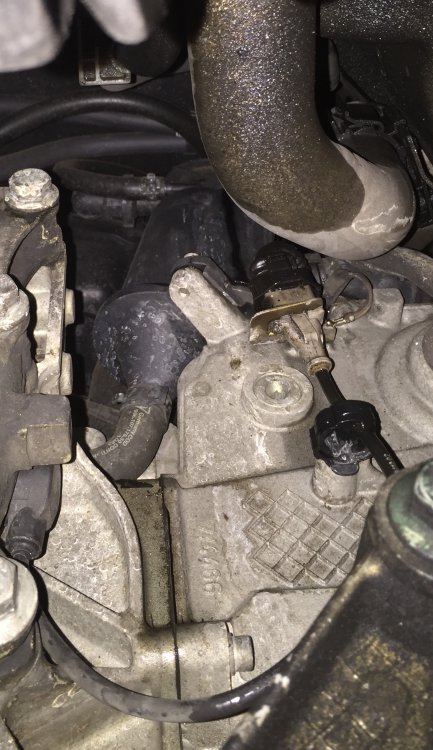 sudden oil leak from Cylinder head - 996 Series (Carrera, Carrera 4 ...