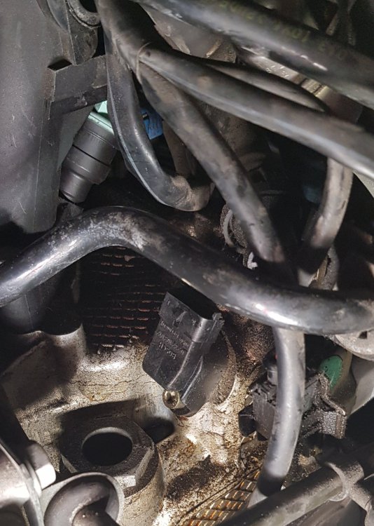 986 MY97 Camshaft sensor wiring missing - 986 Series (Boxster, Boxster ...